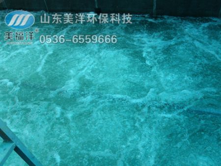 點(diǎn)擊查看詳細(xì)信息<br>標(biāo)題：曝氣 閱讀次數(shù)：3310