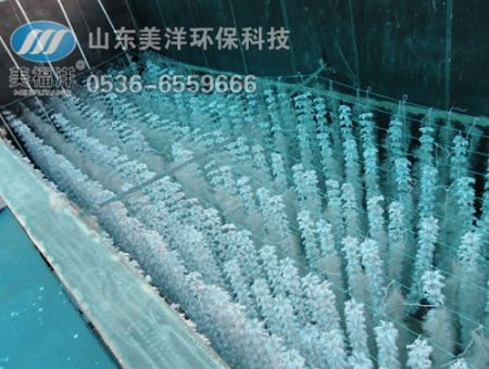 點(diǎn)擊查看詳細(xì)信息<br>標(biāo)題：填料 閱讀次數(shù)：3027